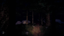 Blue Ridge Hunting screenshot 5