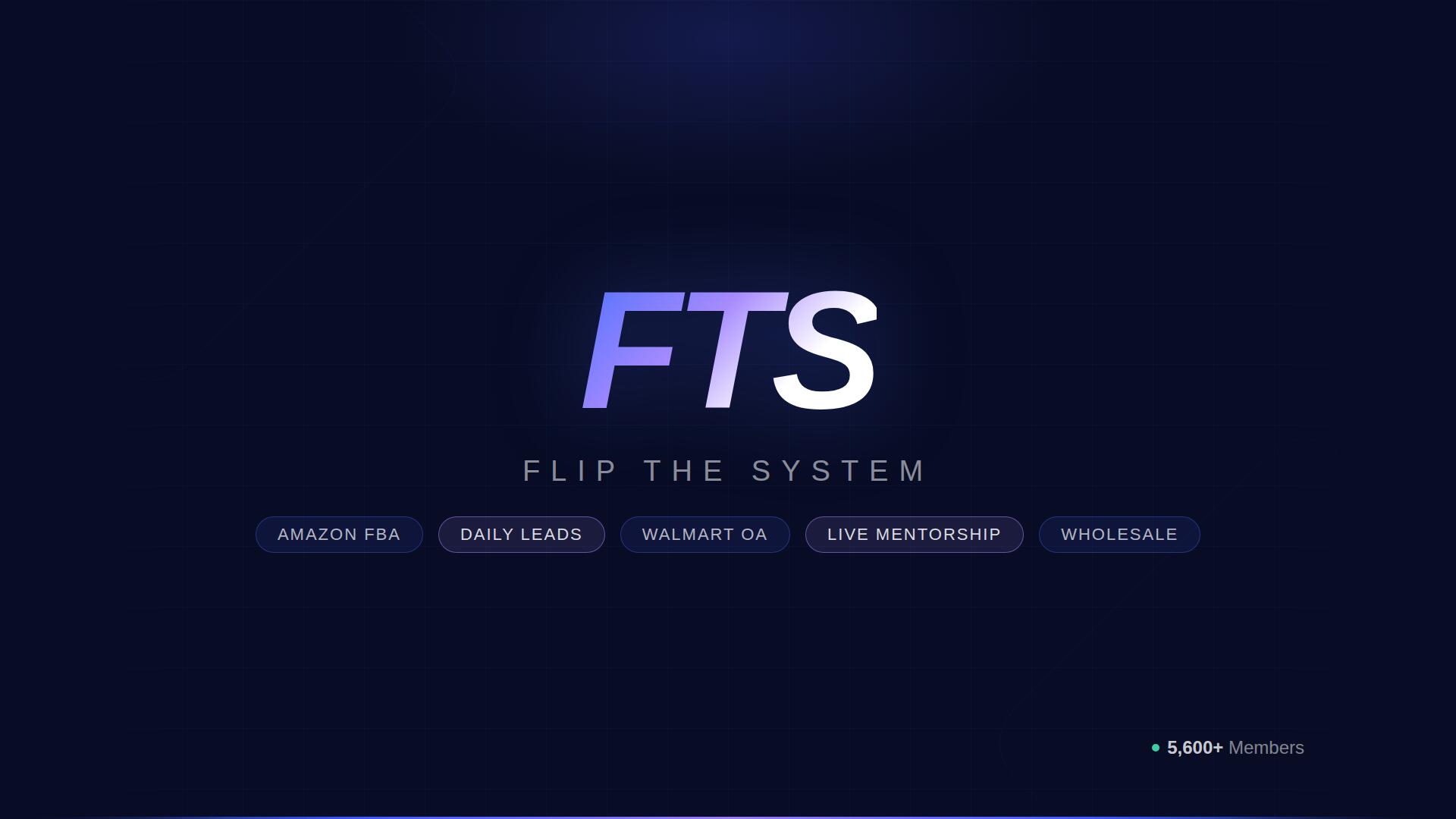Discovery splash banner for Flip The System Discord server