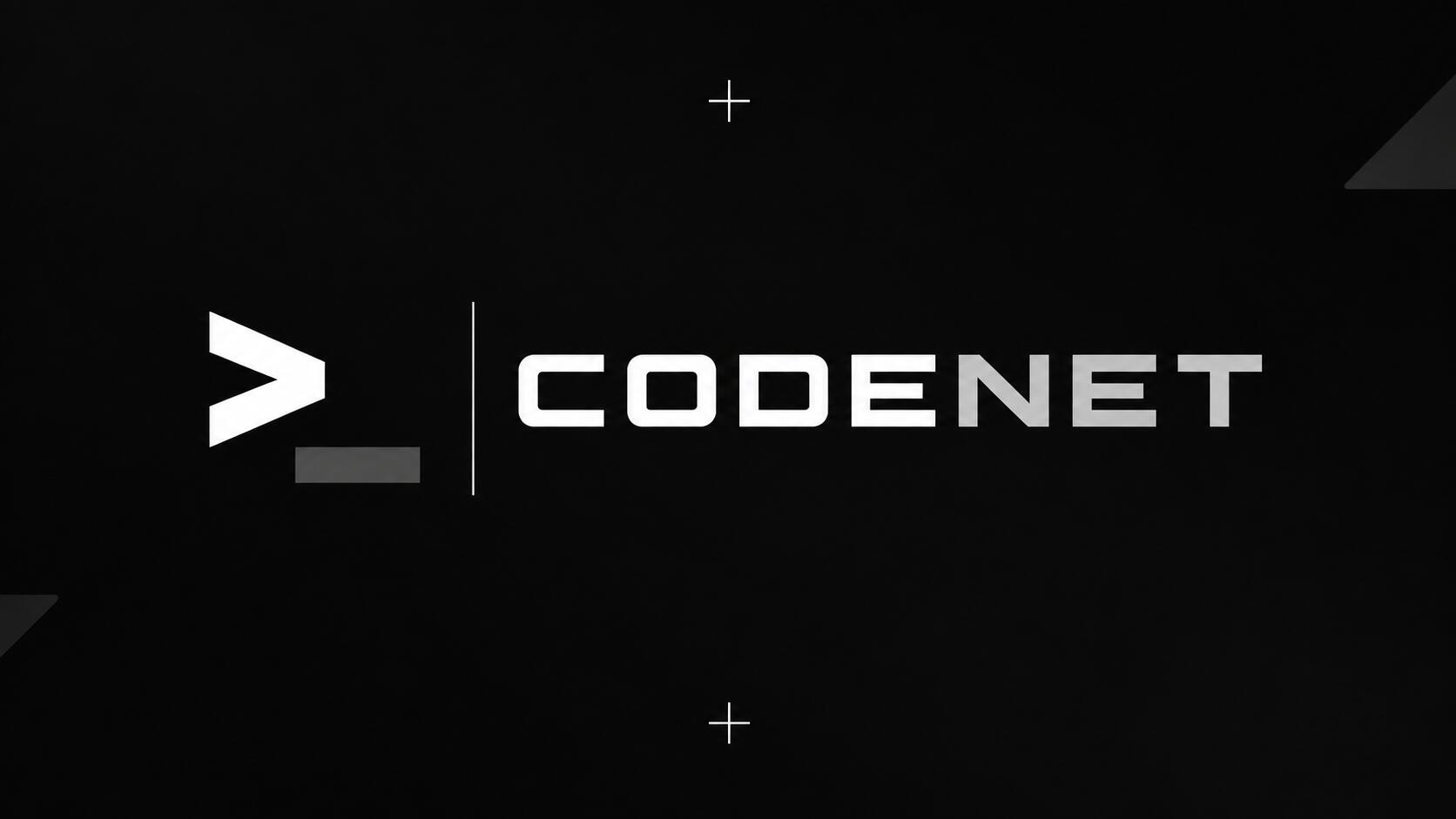 Discovery splash banner for CodeNet Development Discord server