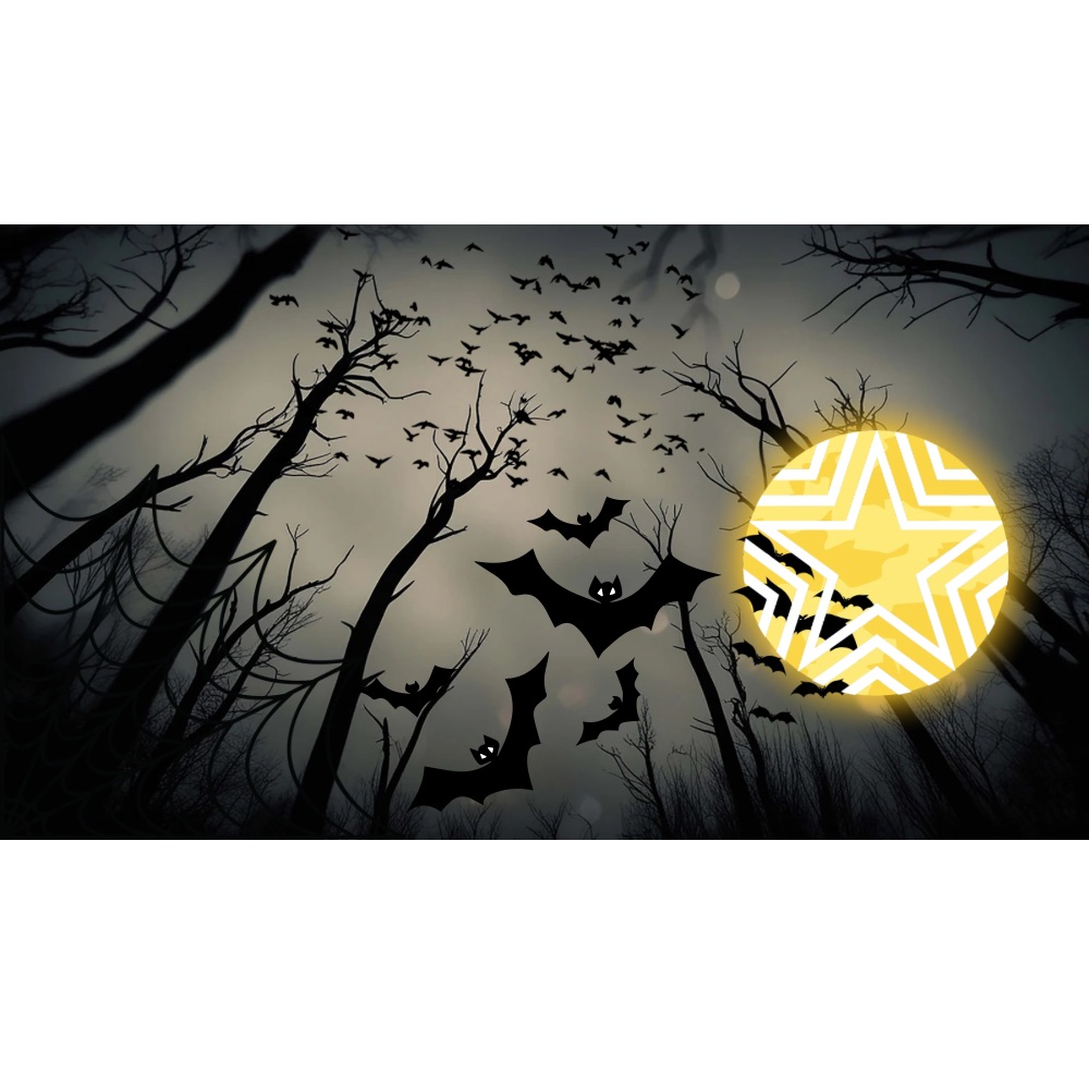 Discovery splash banner for StarNet Alliance Discord server