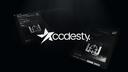 Discovery splash banner for Codesty 2.0 Discord server