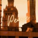Discovery splash banner for Peace X Vibes Discord server