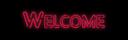 Discovery splash banner for Divine Fruits Trading Server Discord server