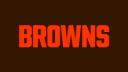 Discovery splash banner for Browns Discord server