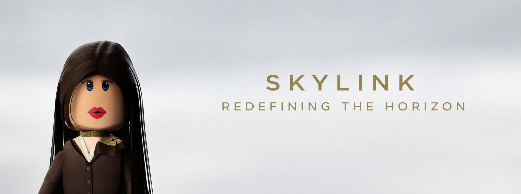 Discovery splash banner for SkyLink Group Discord server