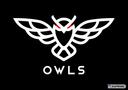 Discovery splash banner for OWLS Capital Discord server