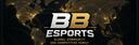 Discovery splash banner for BB eSports Discord server