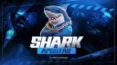 Discovery splash banner for Shark Apostas・ff 4v4・freefire apostado・ff・apostado ff・apostado shark・4v4 ff・ff apostado Discord server