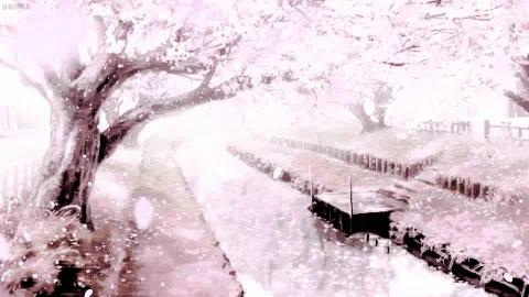 Discovery splash banner for /estacy • pakistan , international Discord server