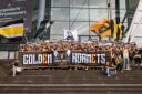 Discovery splash banner for Golden Hornets Discord server