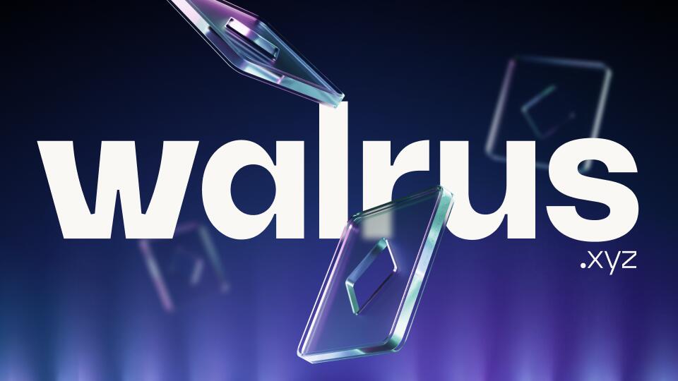 Discovery splash banner for Walrus Discord server