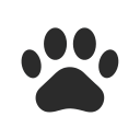 Discovery icon for IMPERIO FELINO 🐆 Discord server