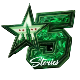 Discovery icon for The Five Stories | TFS:FR Discord server