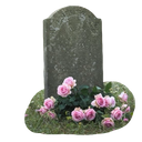 Discovery icon for Cementerio de Floperas Discord server