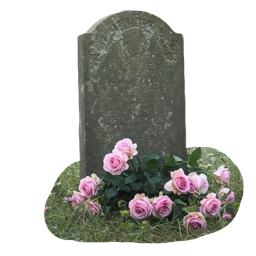 Discovery icon for Cementerio de Floperas Discord server