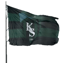 Discovery icon for 𝙃𝙤𝙙𝙧𝙞 𝙈𝙚𝙮𝙙𝙖𝙣 | Kocaelispor Discord server