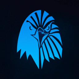 Discovery icon for The Force Conflict Discord server