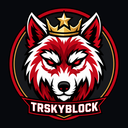 Discovery icon for TRSkyblock | play.trskyblock.com Discord server