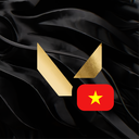 Discovery icon for VALORANT Vietnam Discord server